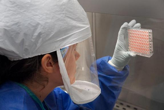 drug resistance