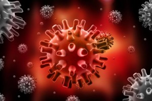 herpes virus