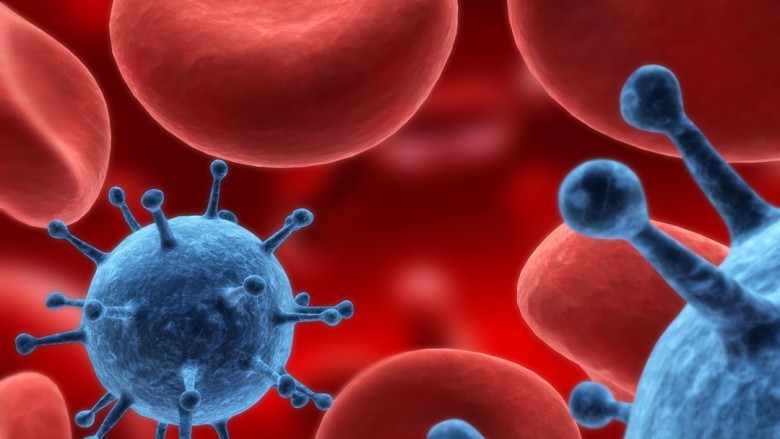 blood cells and viruses (Newscom TagID: ipurestockx098796) [Photo via Newscom]