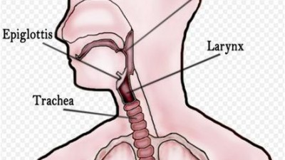 HPV throat cancer